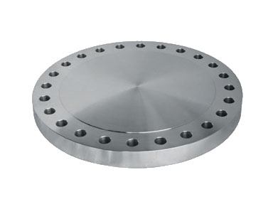 Spaceer & Paddle Flange Manufacturer in India