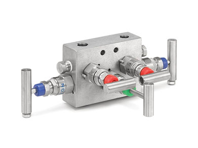 Manifolds Valve Manufacturer in India